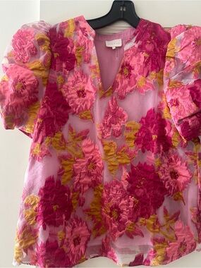 ENTRO lined organdy Pink Floral Jacquard Puff Sleeve Blouse – Size Small